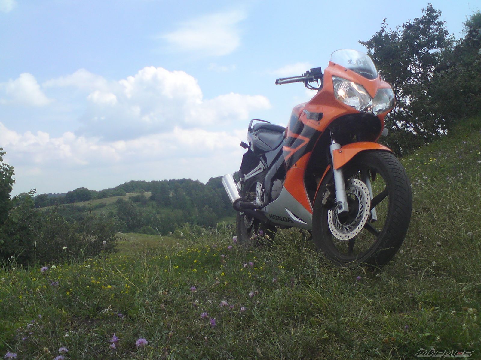 Photo 1847731
