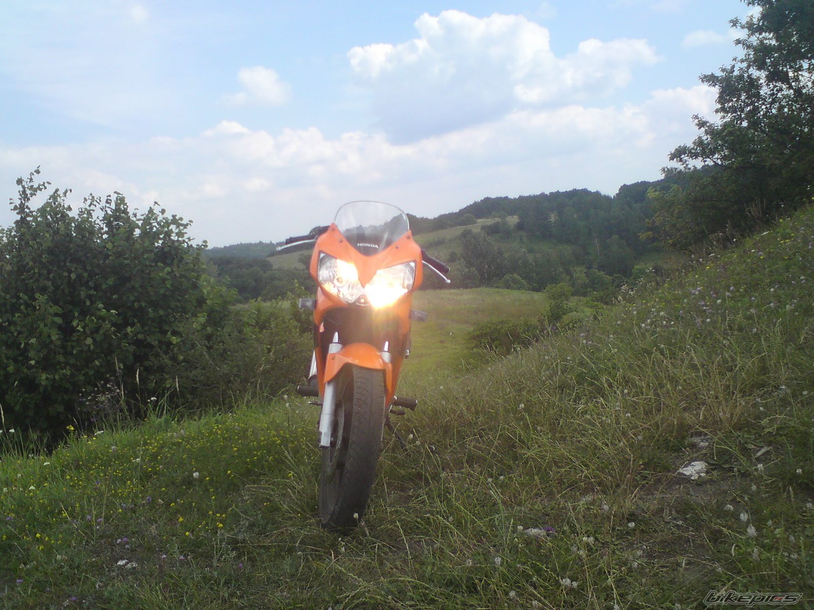Photo 1847737