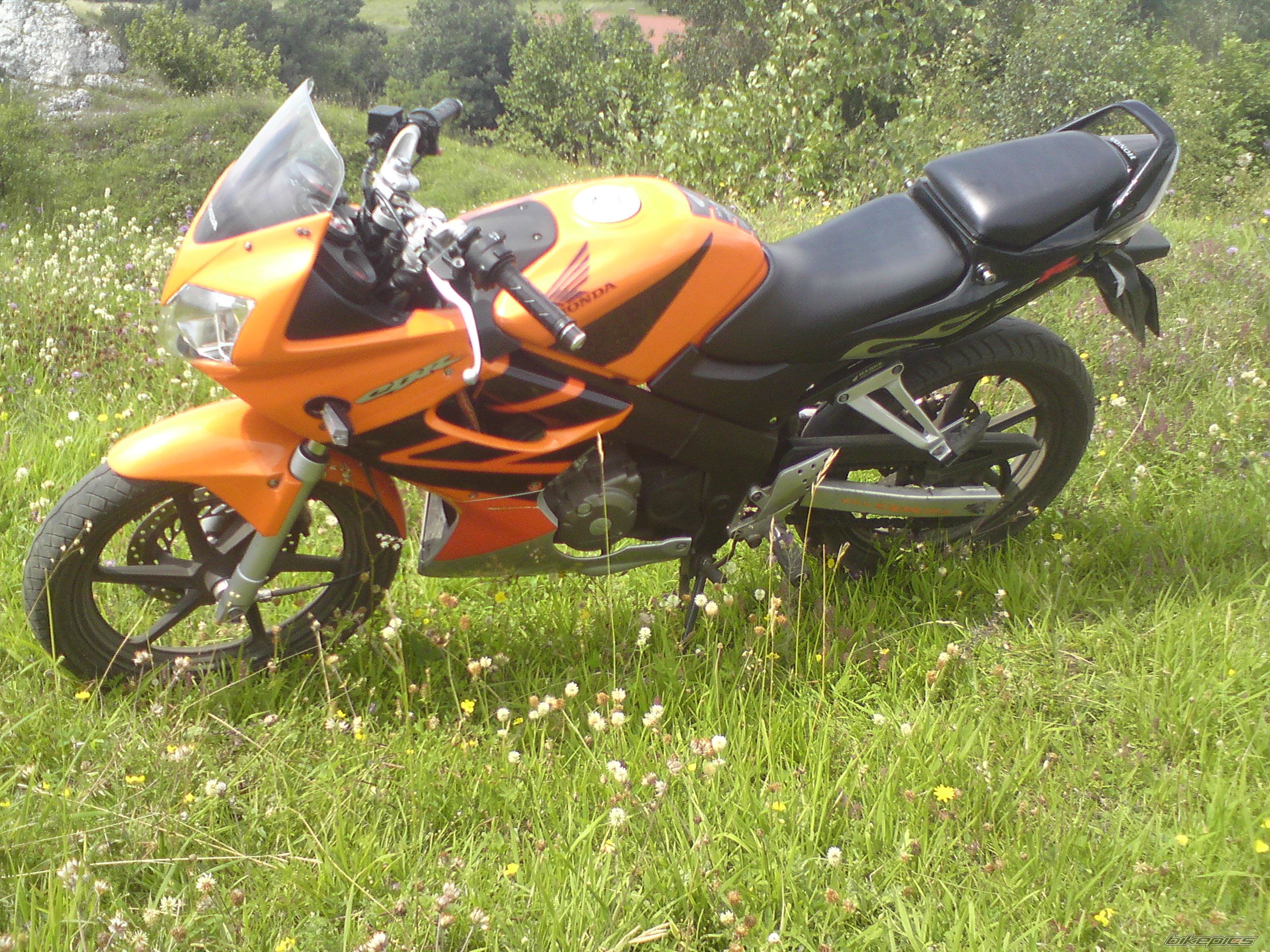 Photo 1847739
