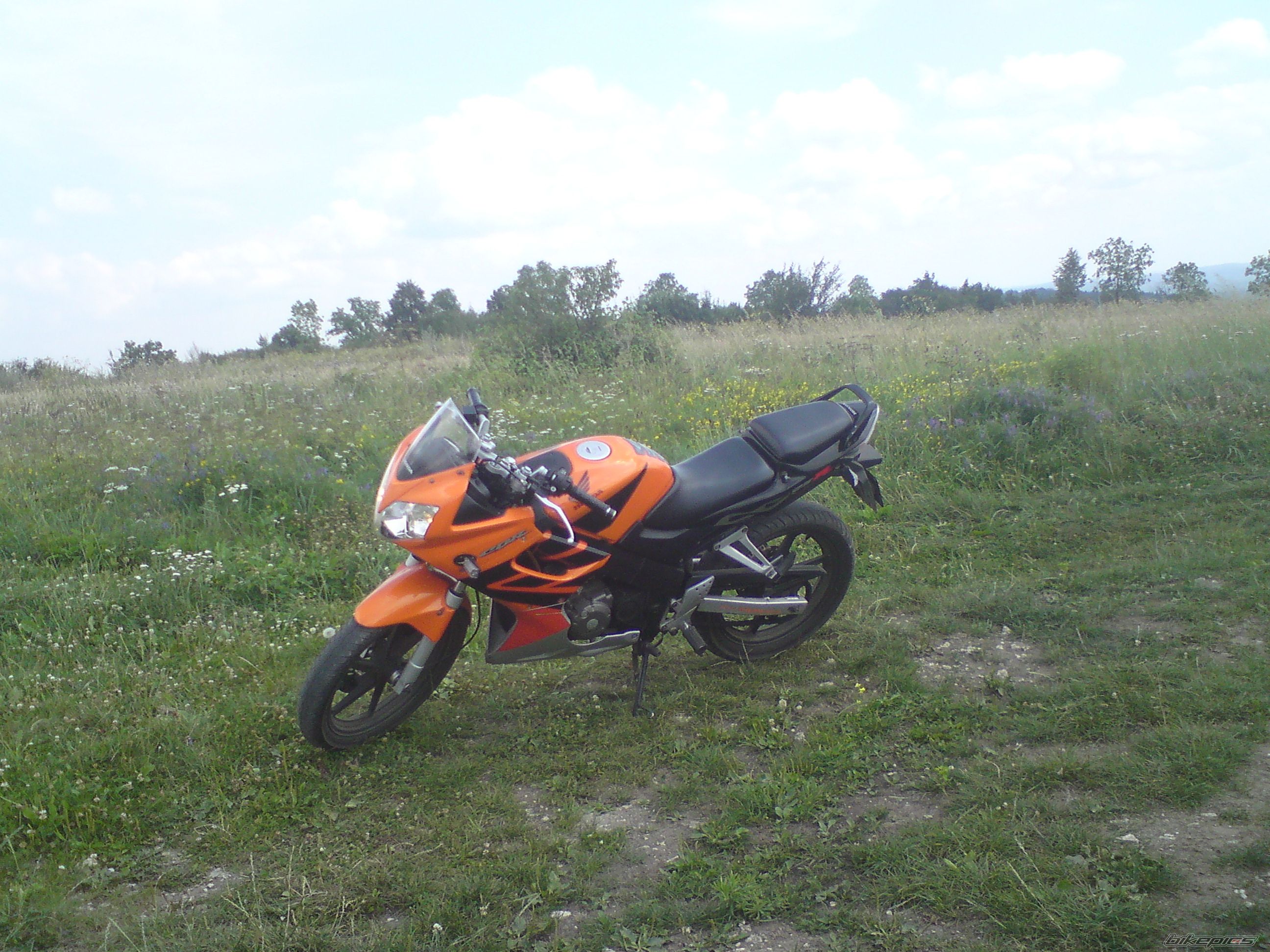 Photo 1847775