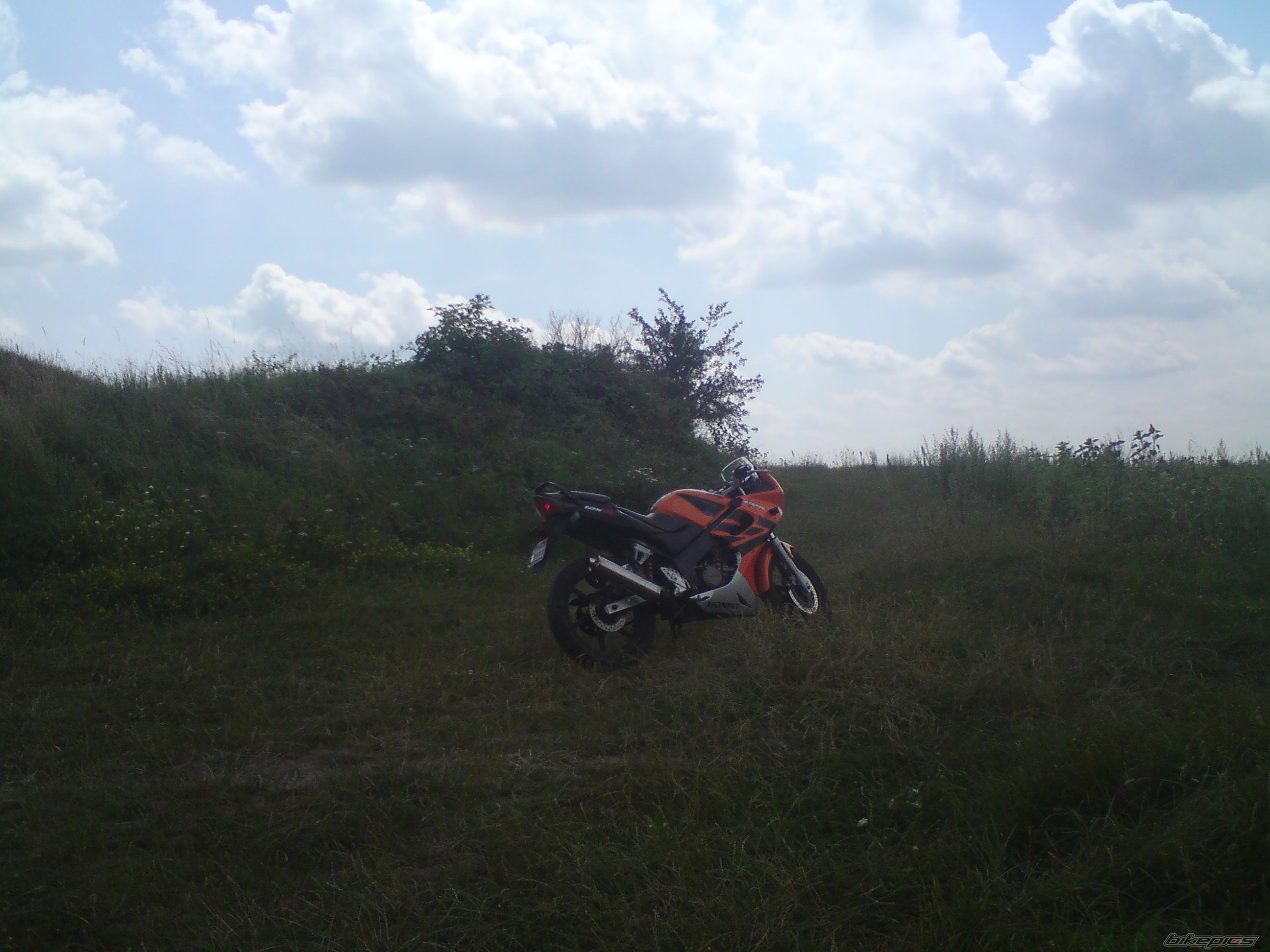 Photo 1847803