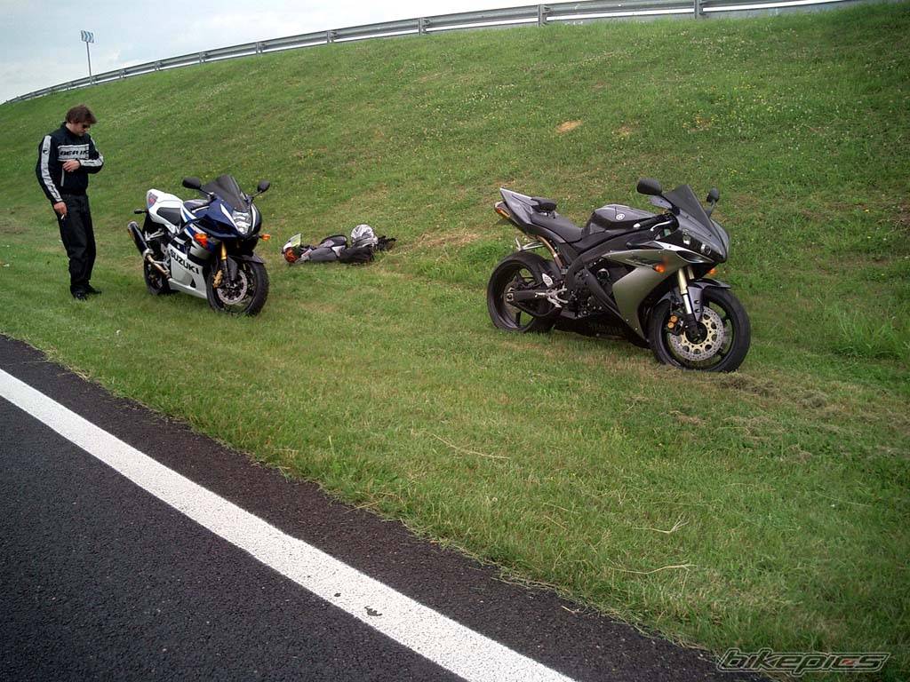 Photo 184798