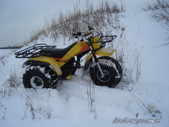 Photo 1848265
