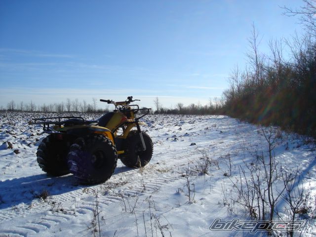 Photo 1848270