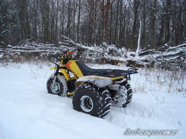 Photo 1848272