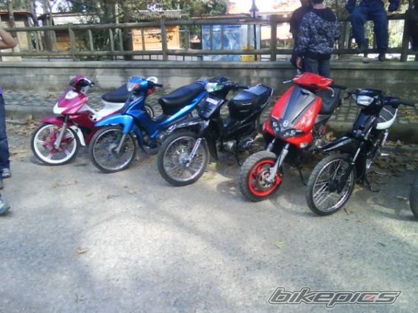 Photo 1848313