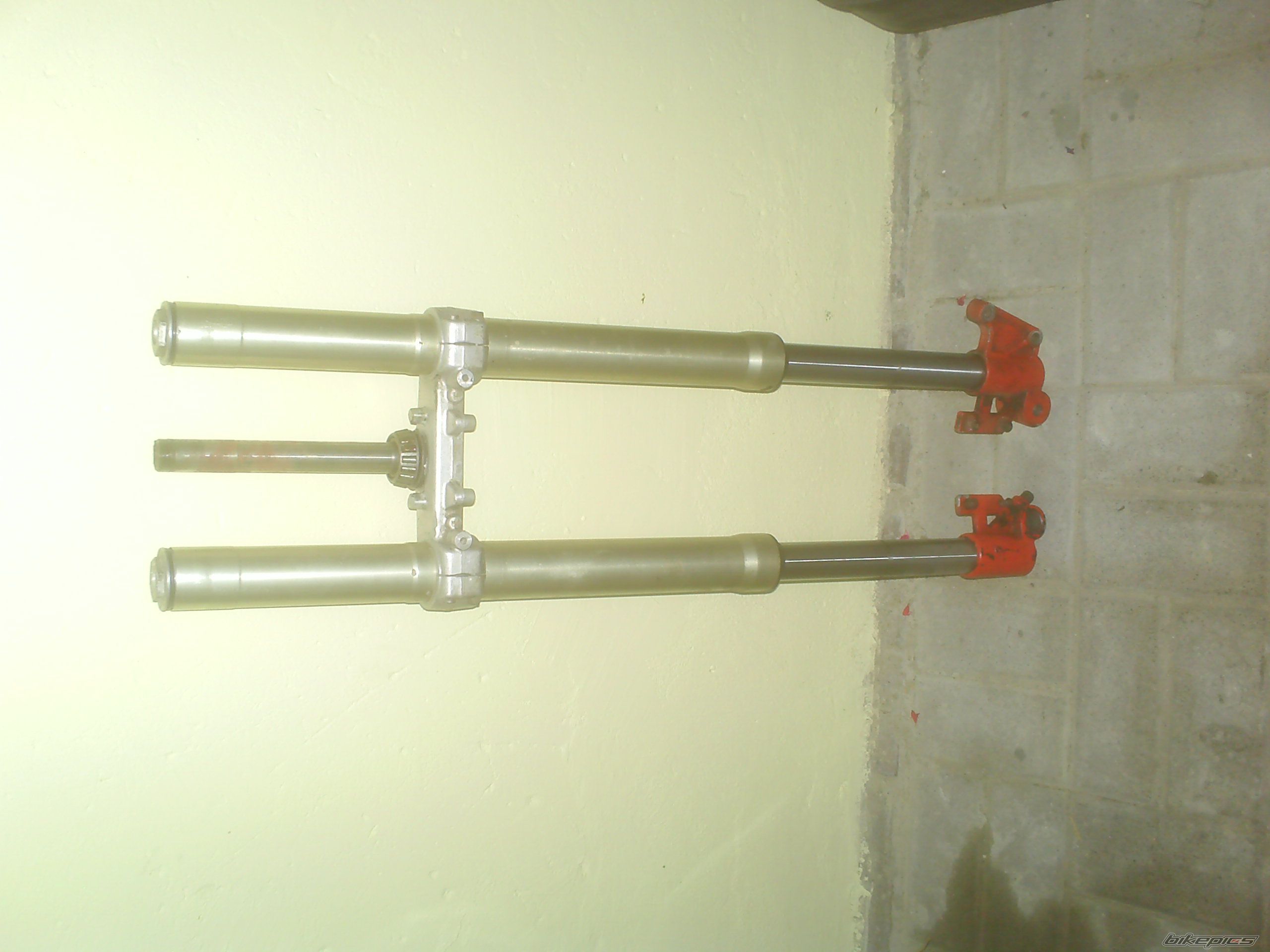 Photo 1848540