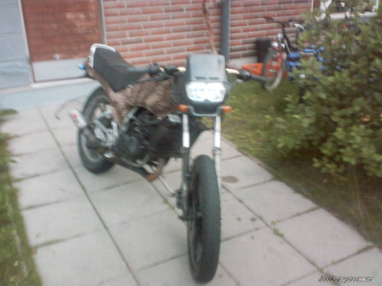 Bike Photo 184855