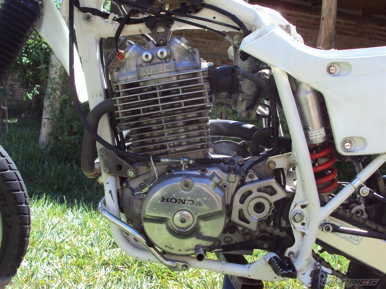 Bike Photo 1848898