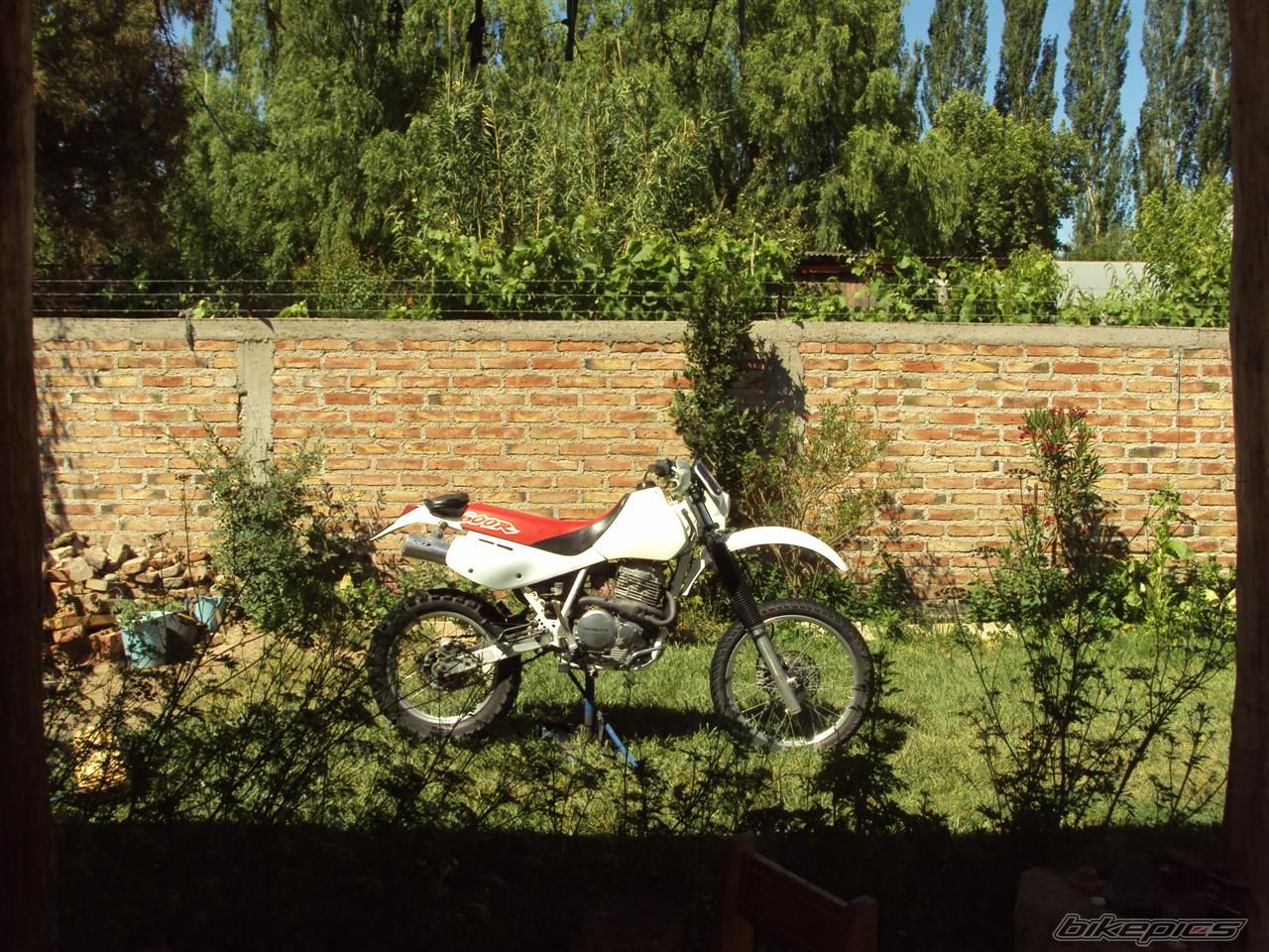 Bike Photo 1848902