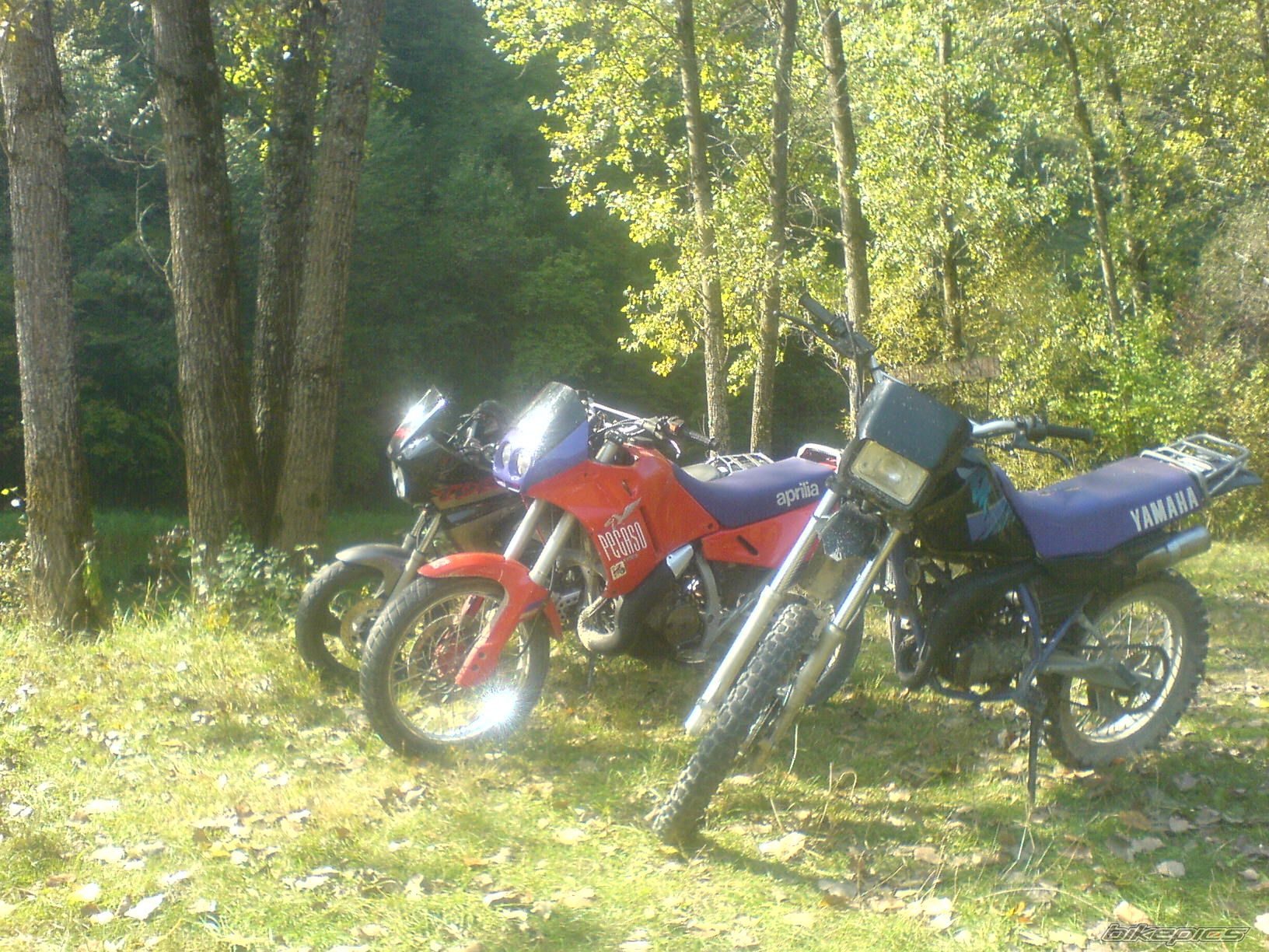 Photo 1849075