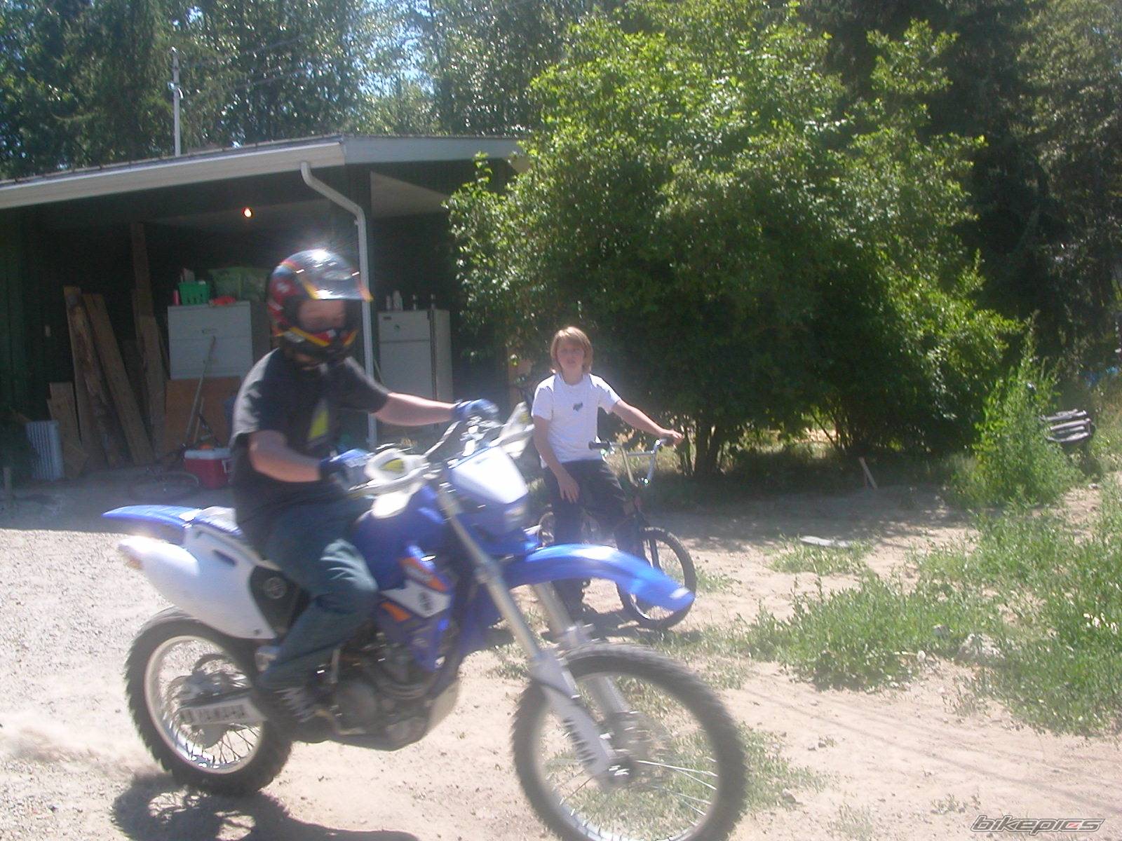 Bike Photo 184931