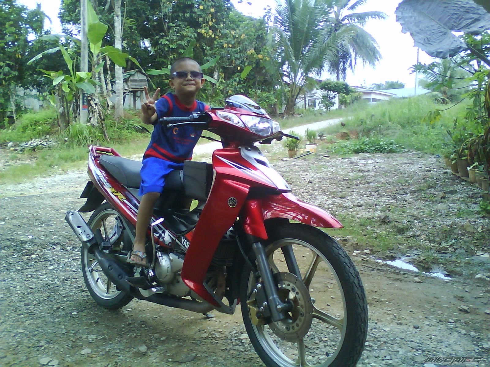 Photo 1849355