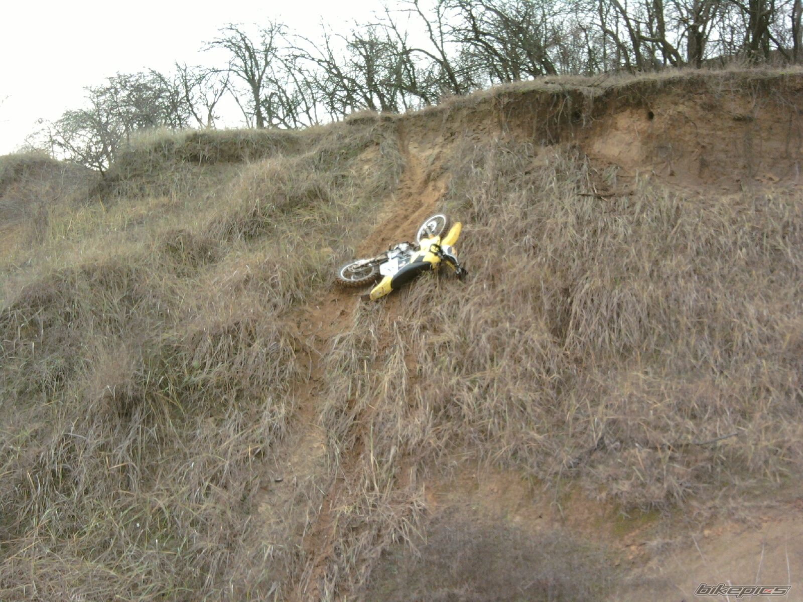 Bike Photo 1849431