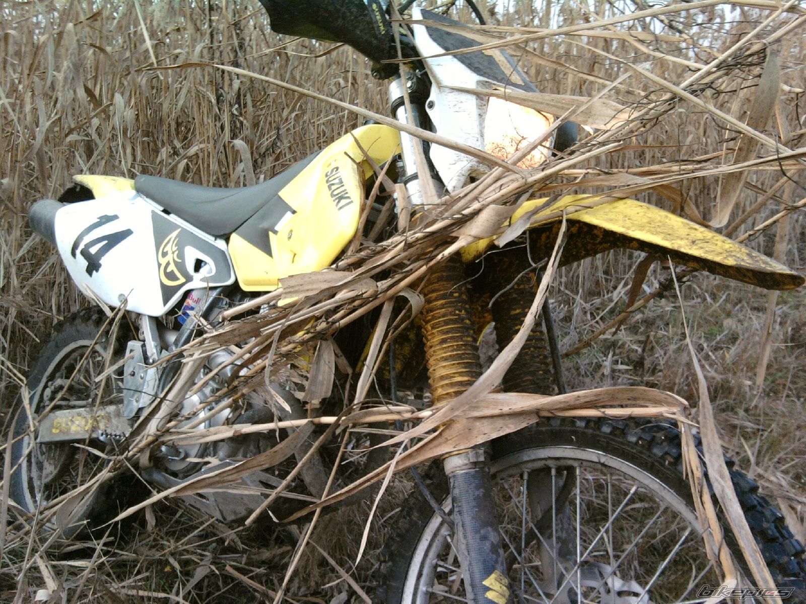 Bike Photo 1849444
