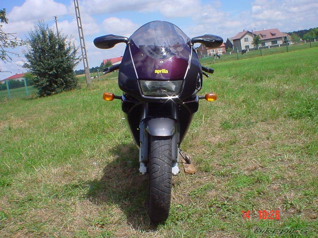 Photo 184951