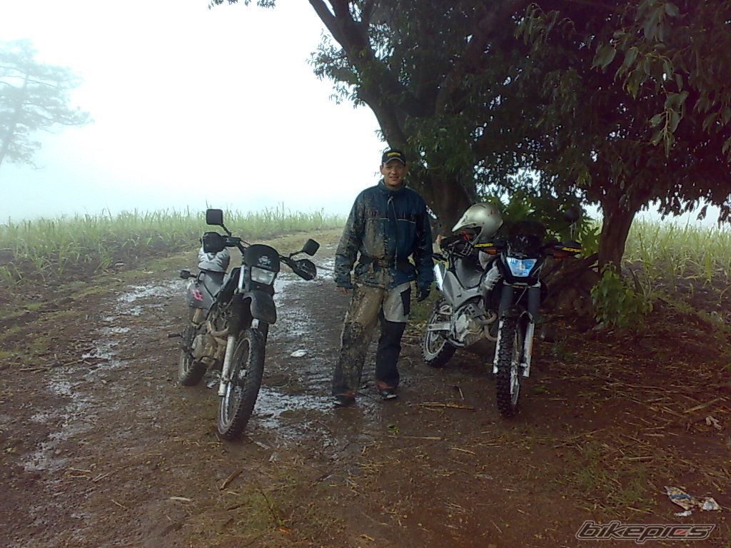 Photo 1849536