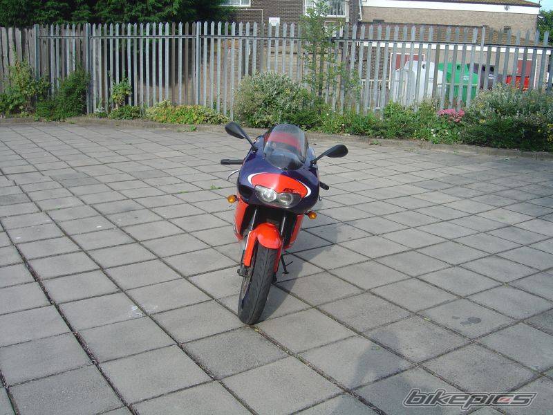 Photo 184972