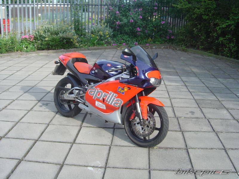 Photo 184973