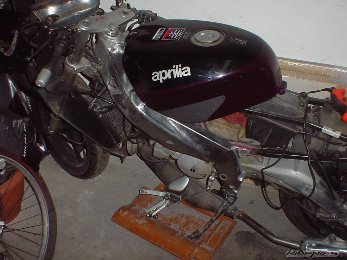 Photo 184976
