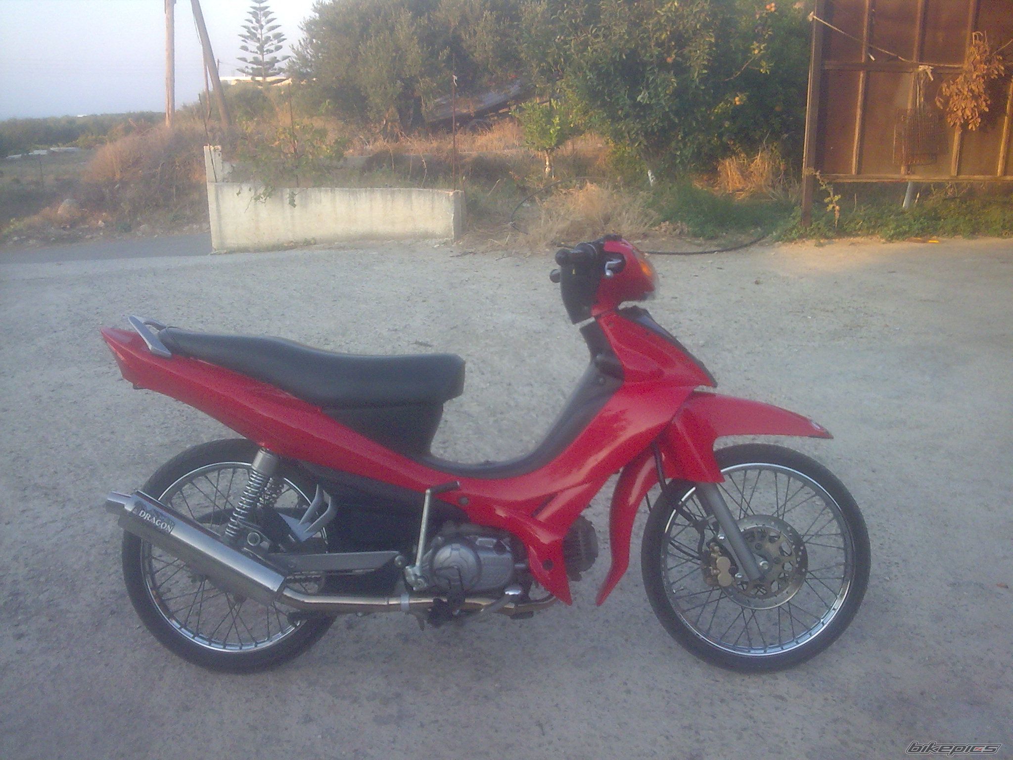 Photo 1849916