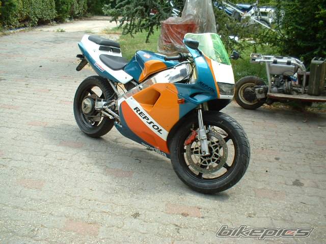 Photo 185004