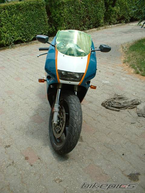 Photo 185005