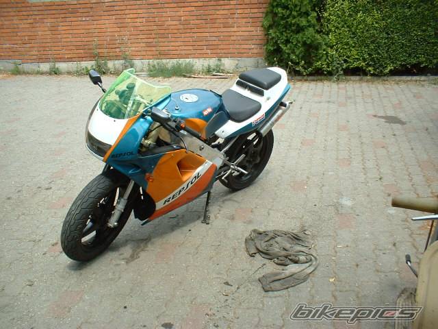 Photo 185006