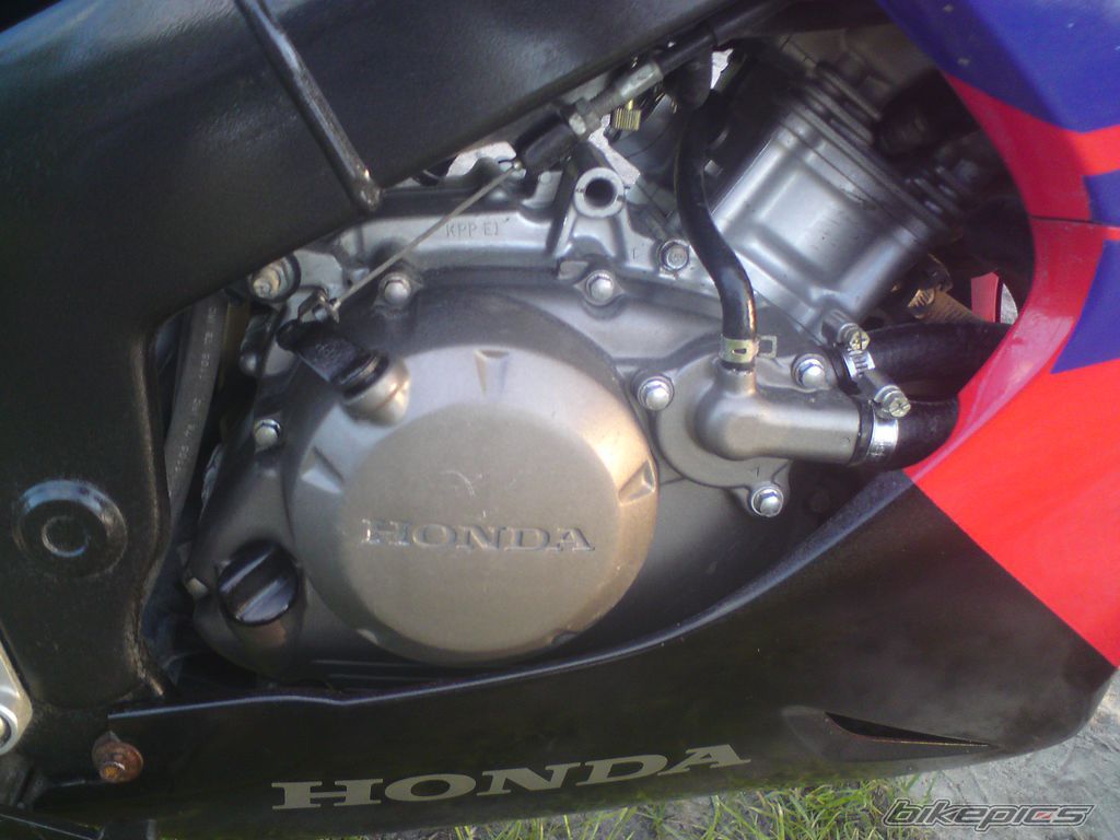 Photo 1850205