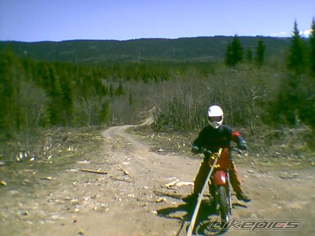 Photo 185109