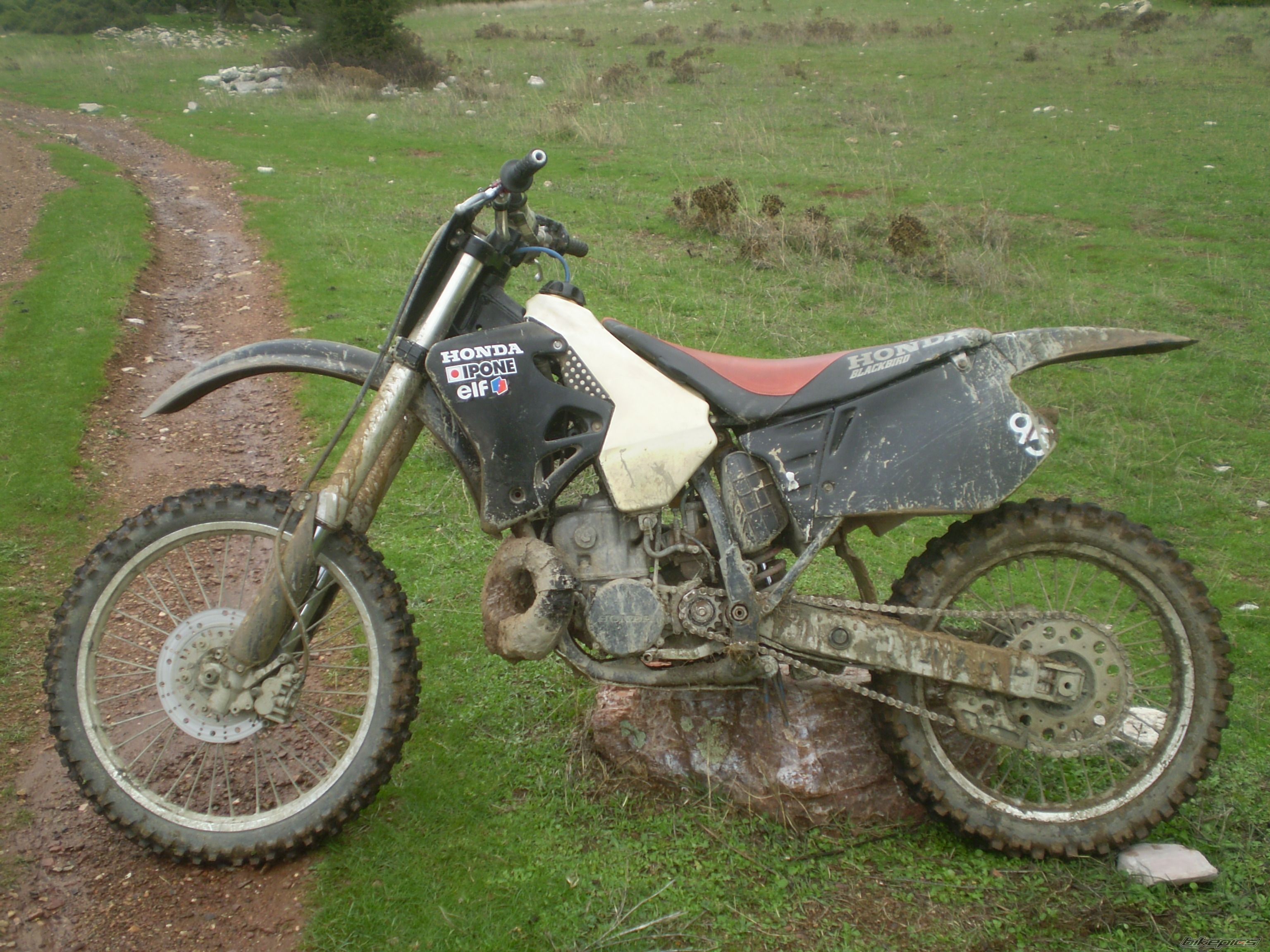 Bike Photo 1851360