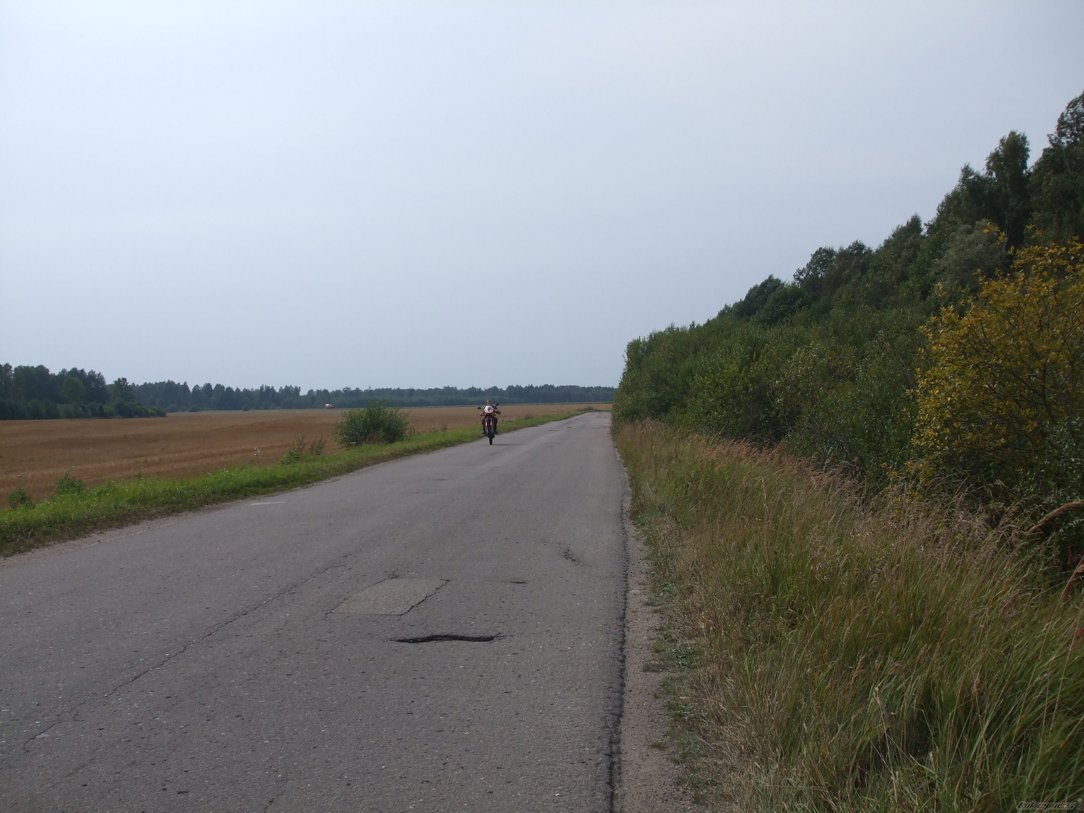 Photo 1851382