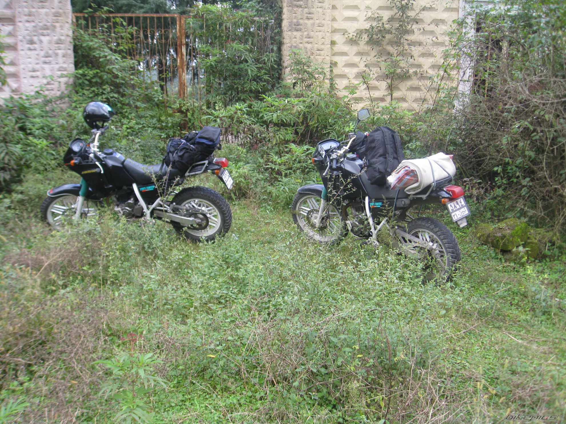 Photo 1851435