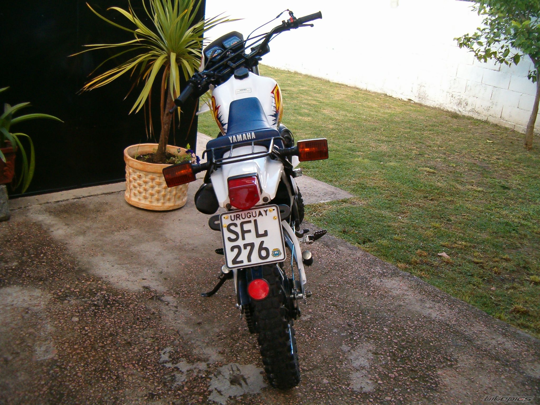 Photo 1851652