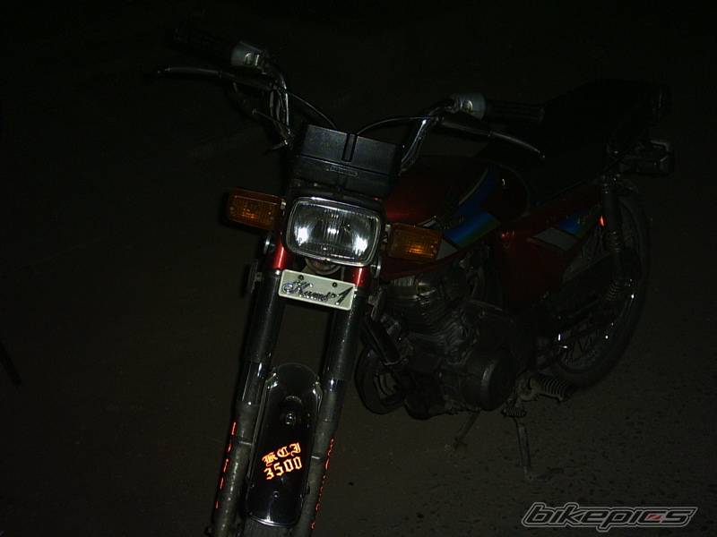 Photo 185173