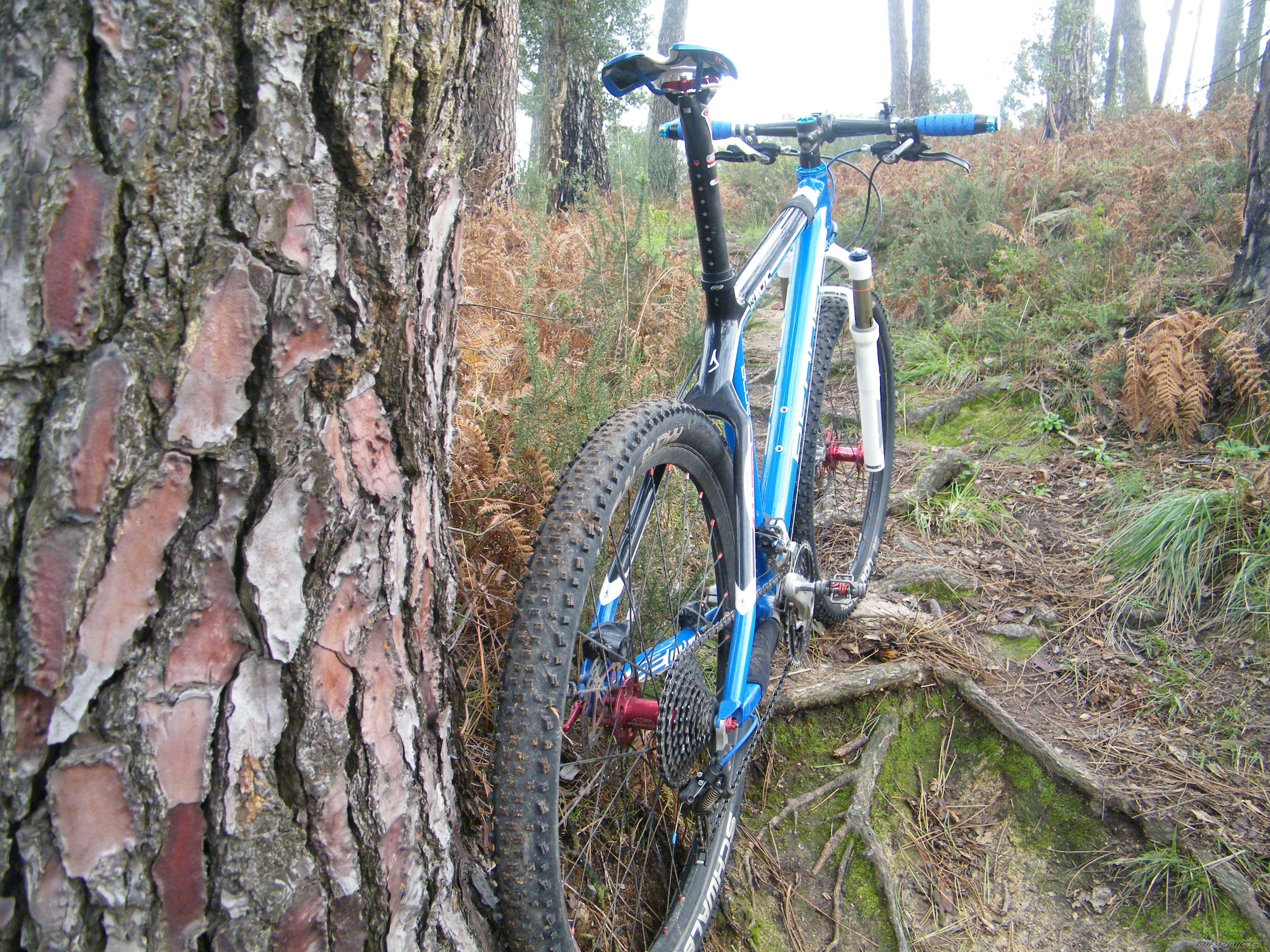 Bike Photo 1851964