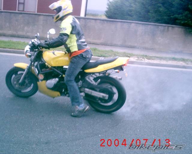Photo 185216