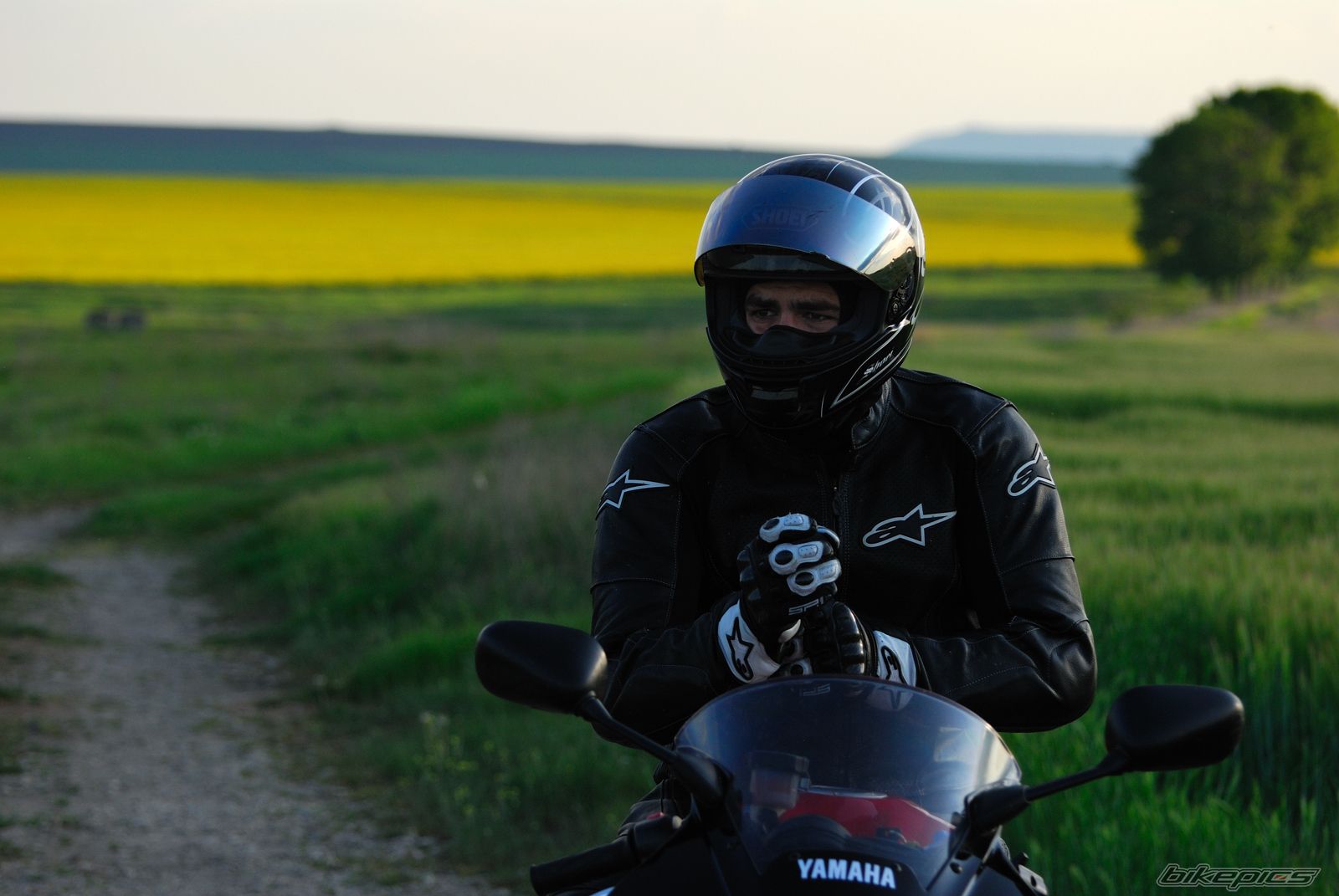 Bike Photo 1852256
