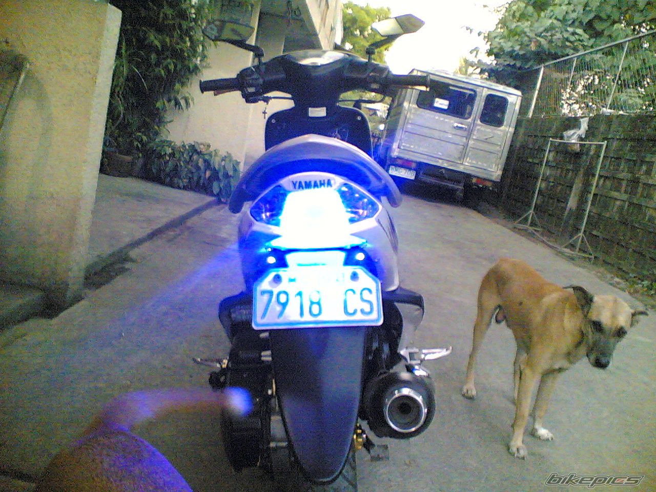 Bike Photo 1852504