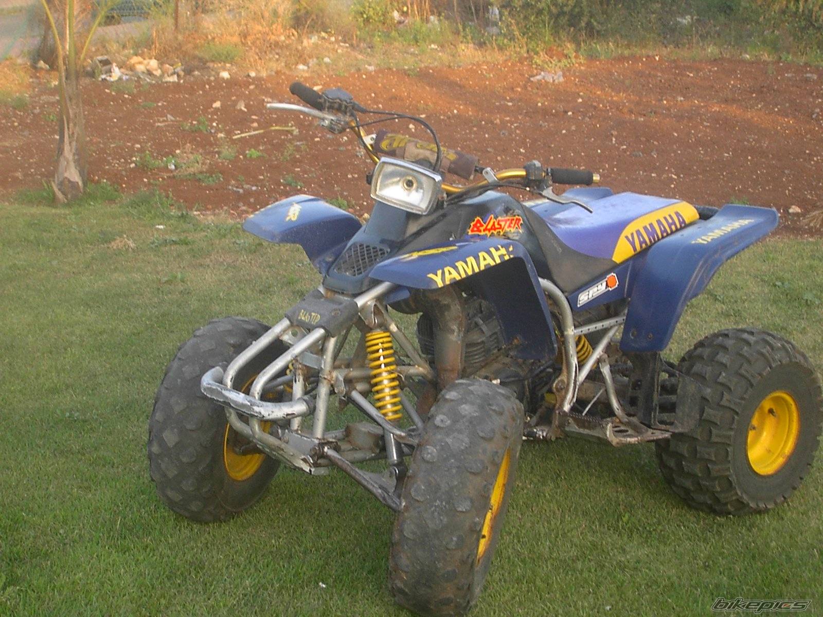 Photo 185260
