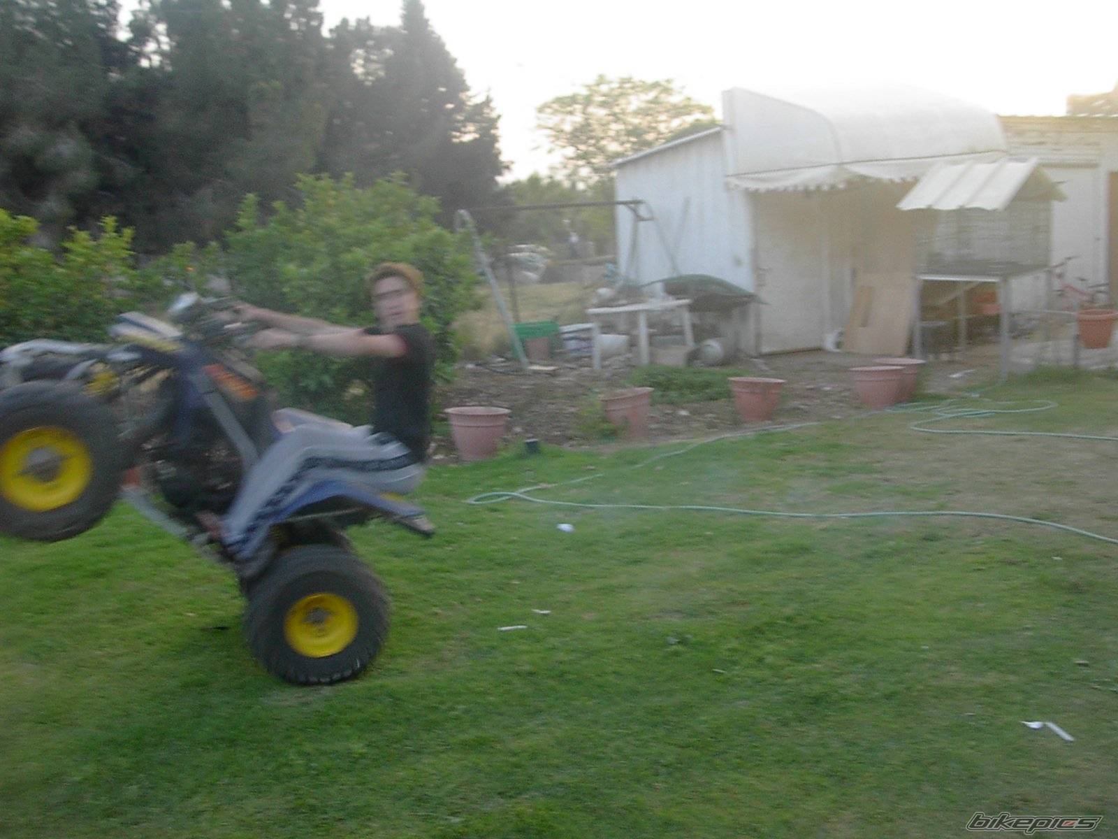 Photo 185261