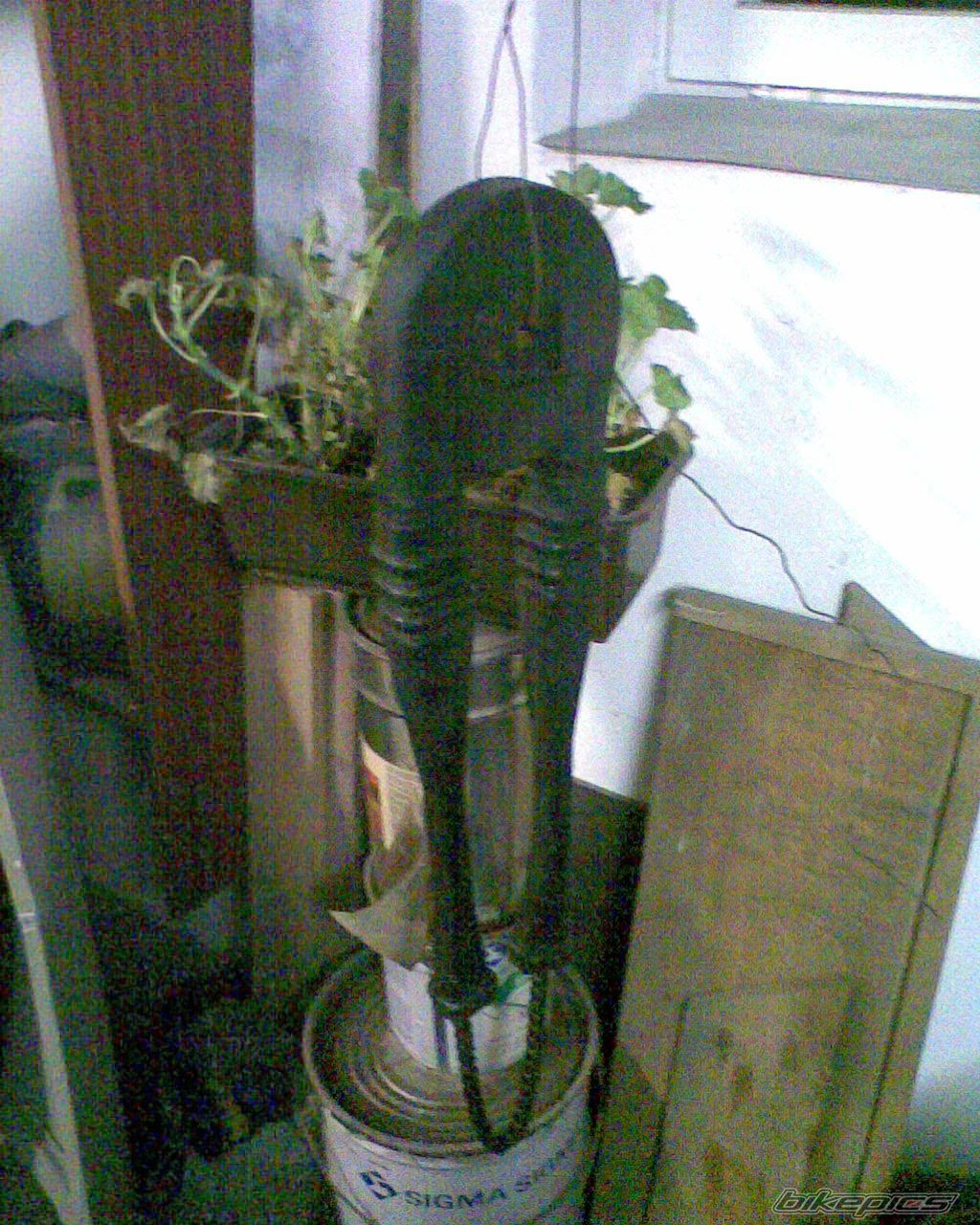 Photo 1852671