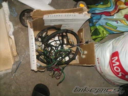 Photo 1852761