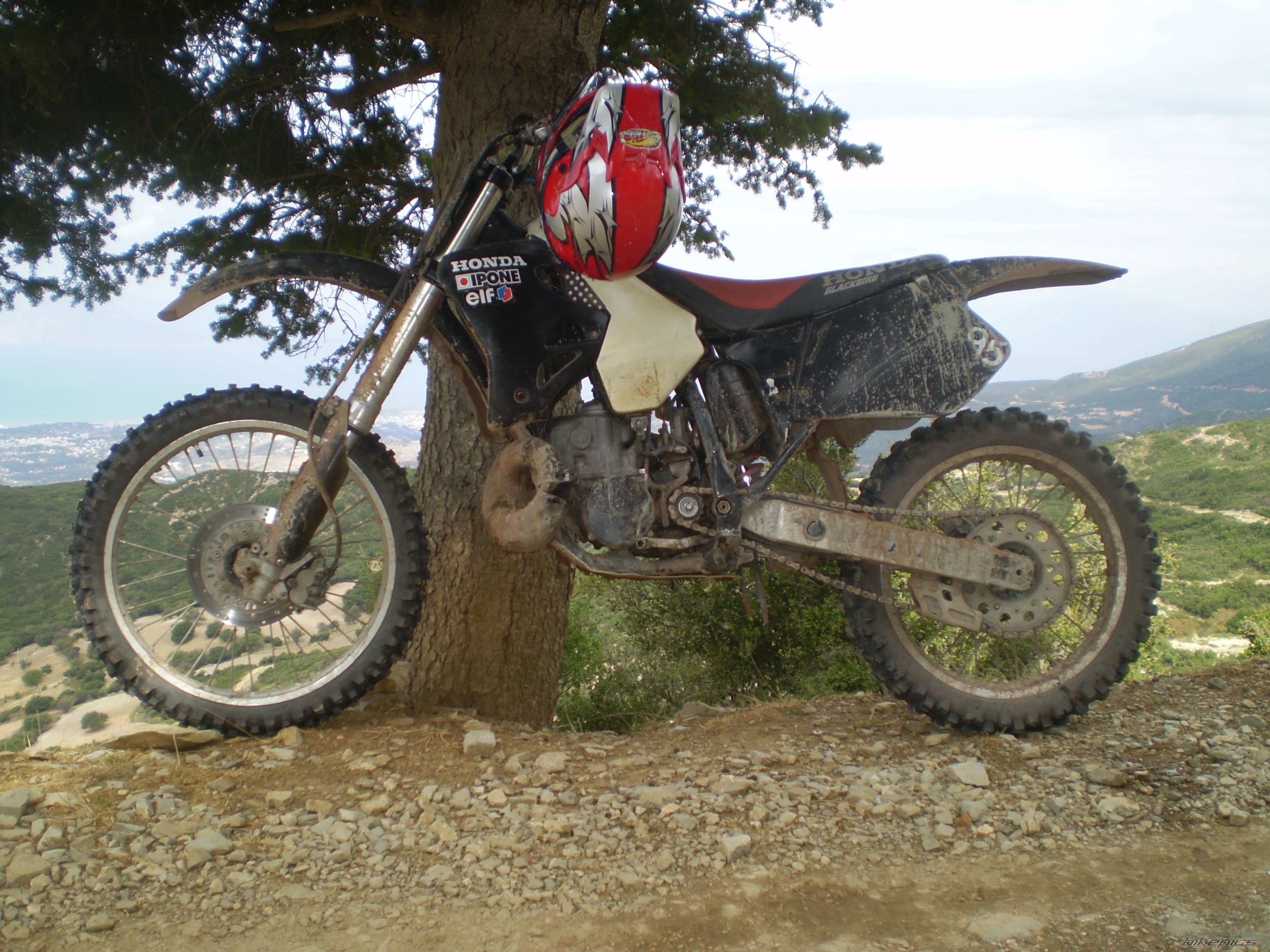 Bike Photo 1852871