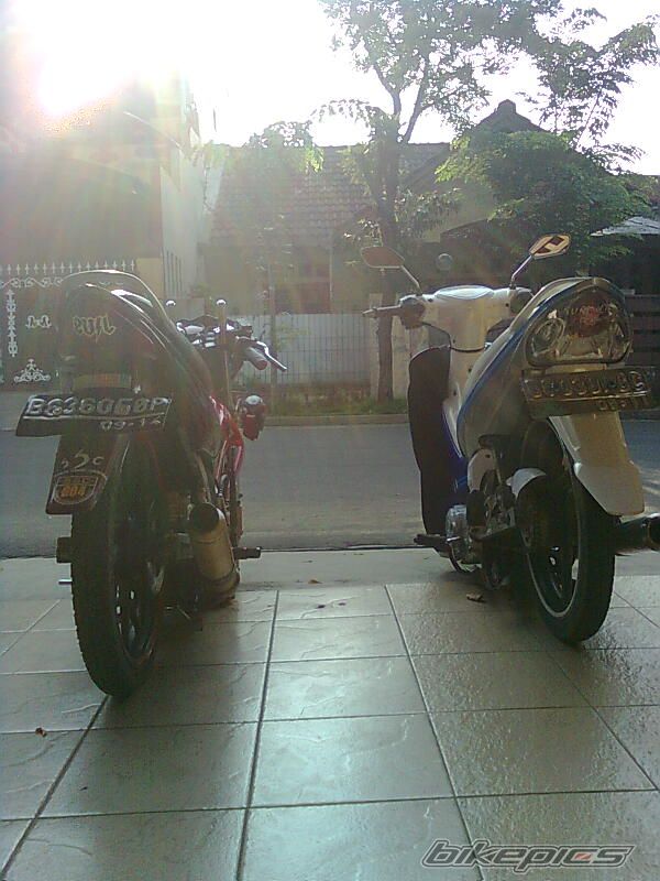 Photo 1853191