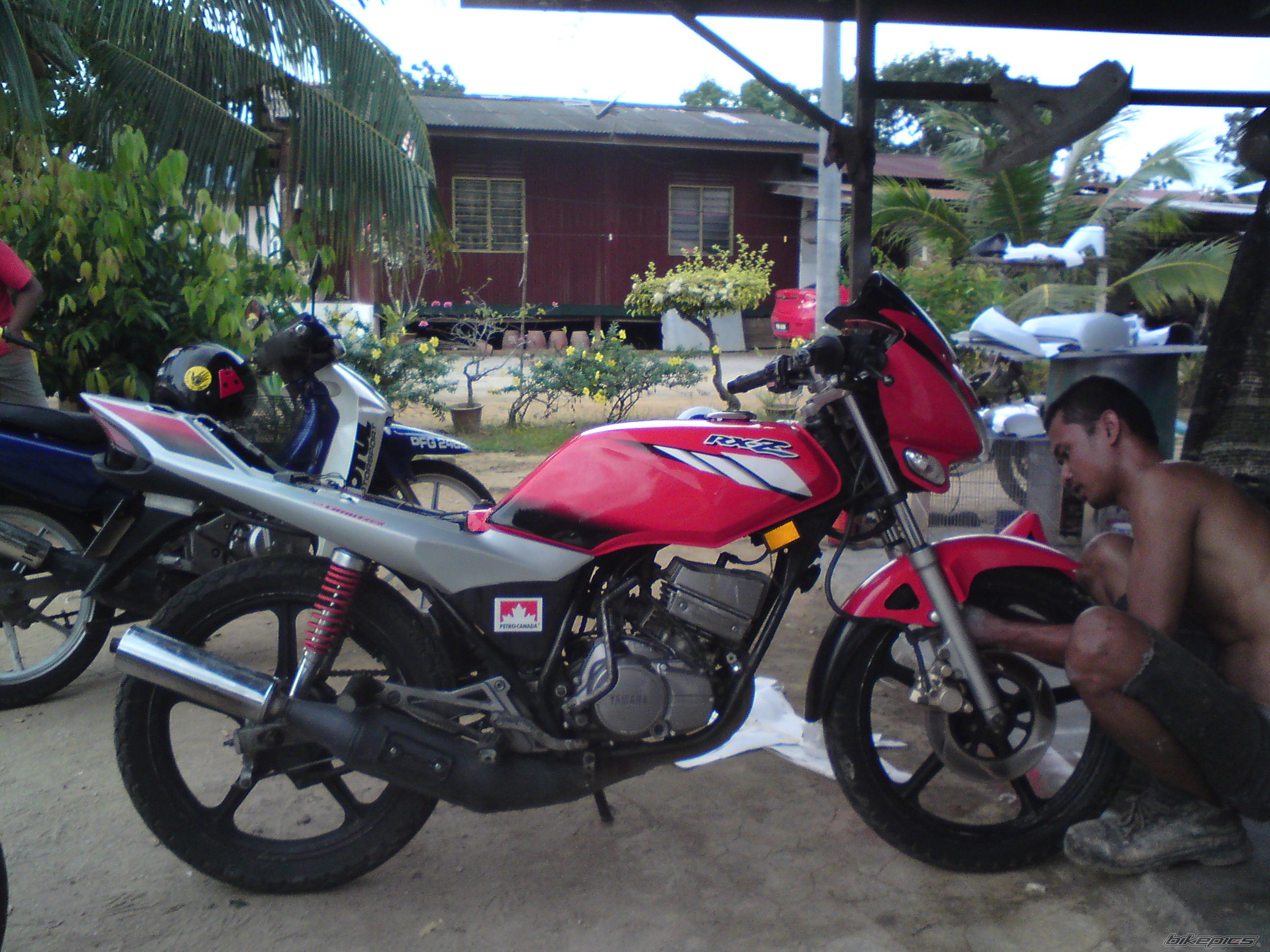 Photo 1853233