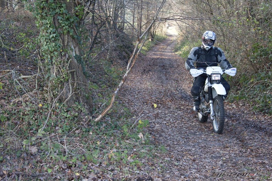 Bike Photo 1853516