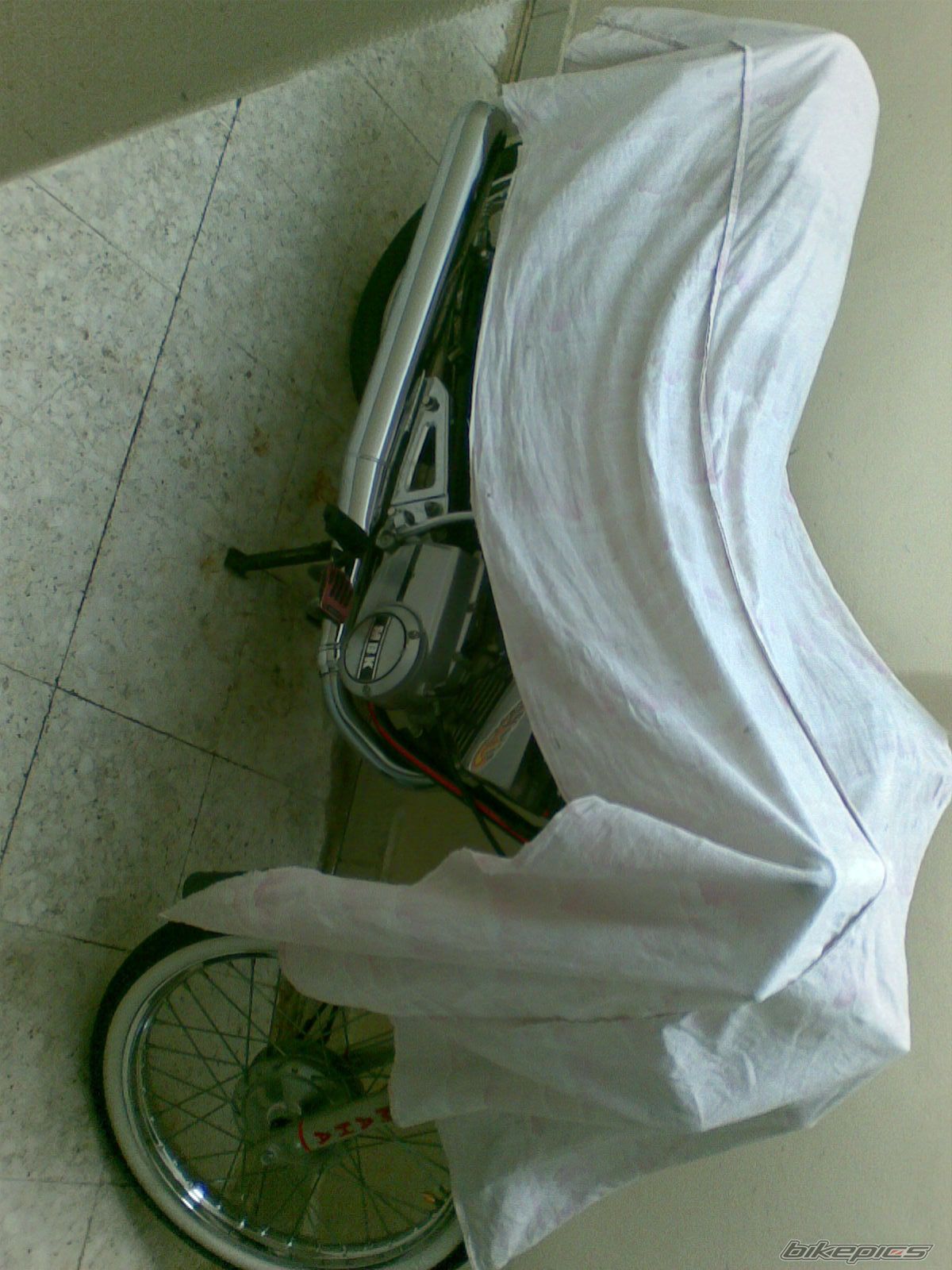 Photo 1853585