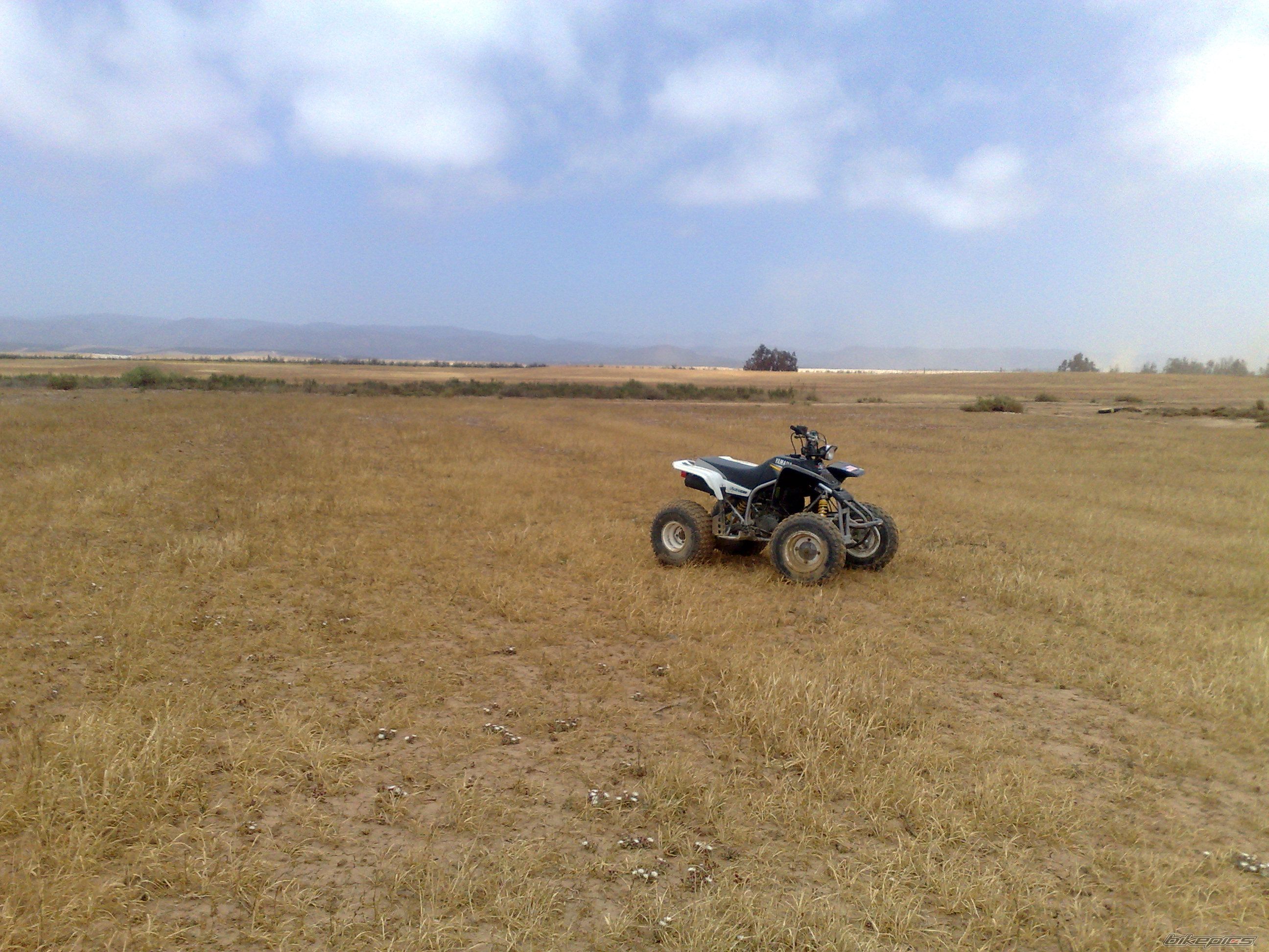 Photo 1853709