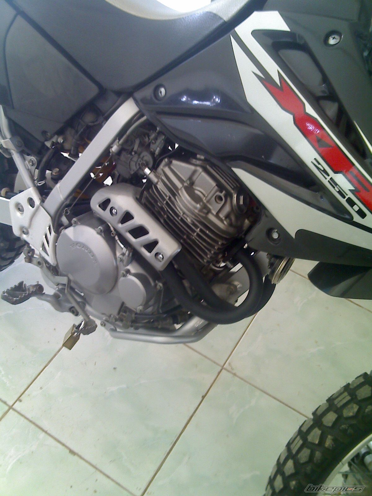 Photo 1853735